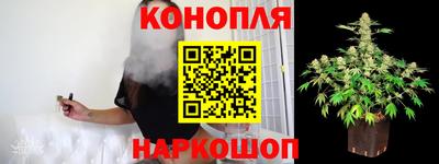 mdpv Малоярославец