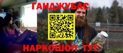 стаф Можга