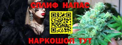 spice Малгобек