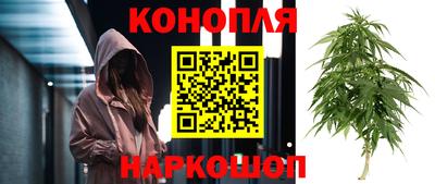 spice Малгобек