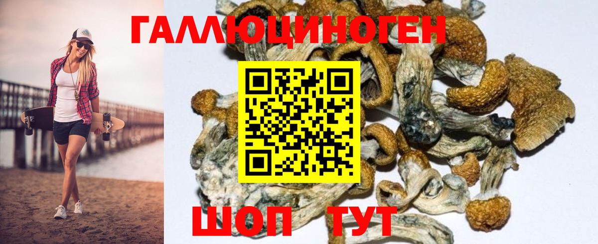 Псилоцибиновые грибы Magic Shrooms  Вход с VPN  Строитель 